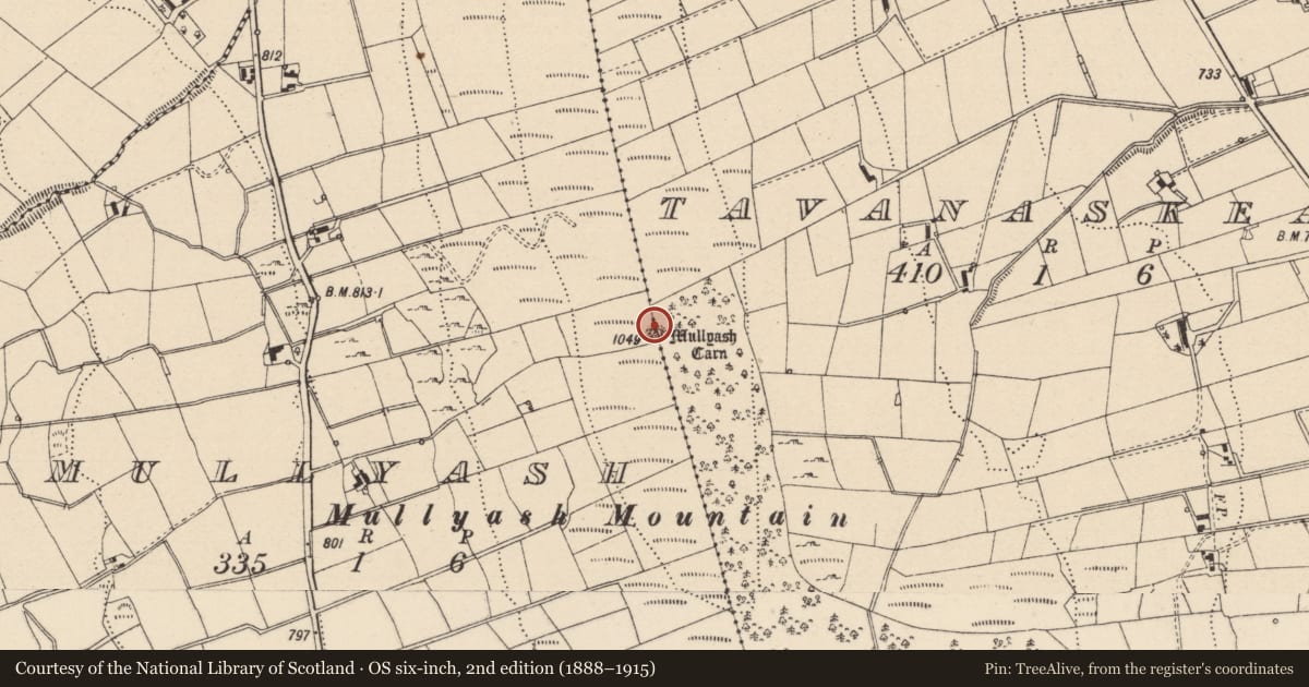Ordnance Survey six-inch map, 2nd edition (1888–1915) covering the location of Megalithic tomb - passage tomb, Mullyash, Tavanskeagh, County Monaghan, with a pin at the register's coordinates