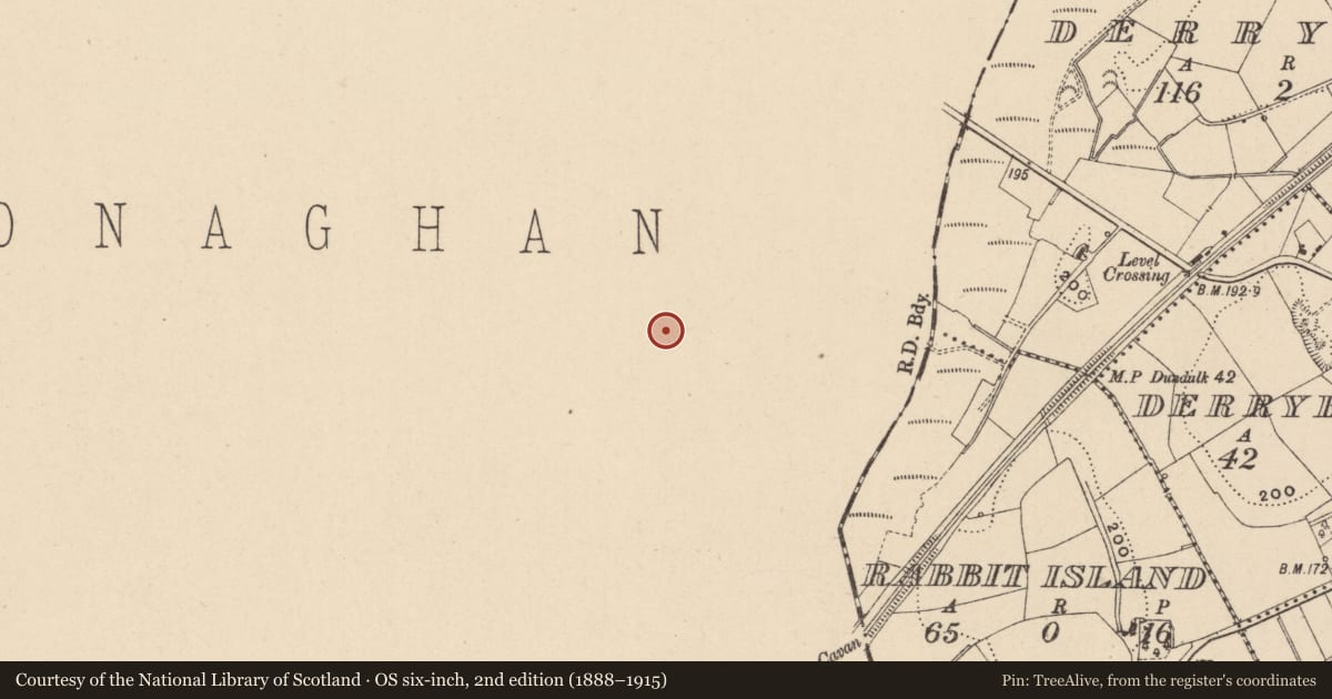 Ordnance Survey six-inch map, 2nd edition (1888–1915) covering the location of Ringfort - rath, Clonkeelan, County Monaghan, with a pin at the register's coordinates