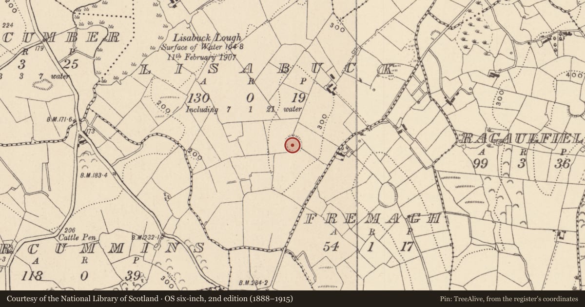 Ordnance Survey six-inch map, 2nd edition (1888–1915) covering the location of Ringfort - rath, Lisabuck, County Monaghan, with a pin at the register's coordinates