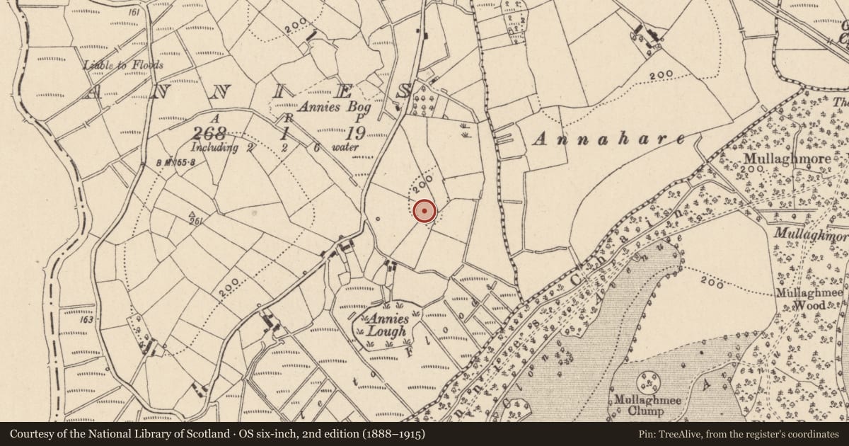 Ordnance Survey six-inch map, 2nd edition (1888–1915) covering the location of Ringfort - rath, Annies, County Monaghan, with a pin at the register's coordinates