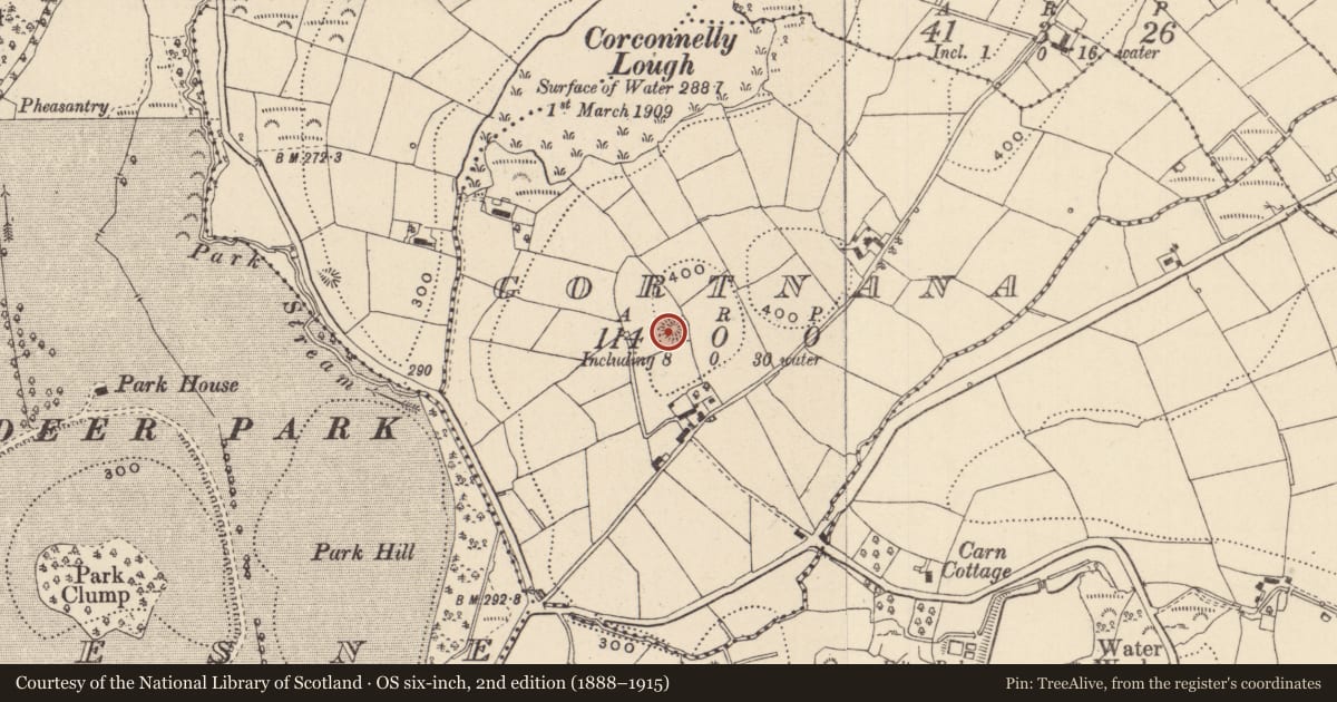 Ordnance Survey six-inch map, 2nd edition (1888–1915) covering the location of Ringfort - rath, Gortnana, County Monaghan, with a pin at the register's coordinates