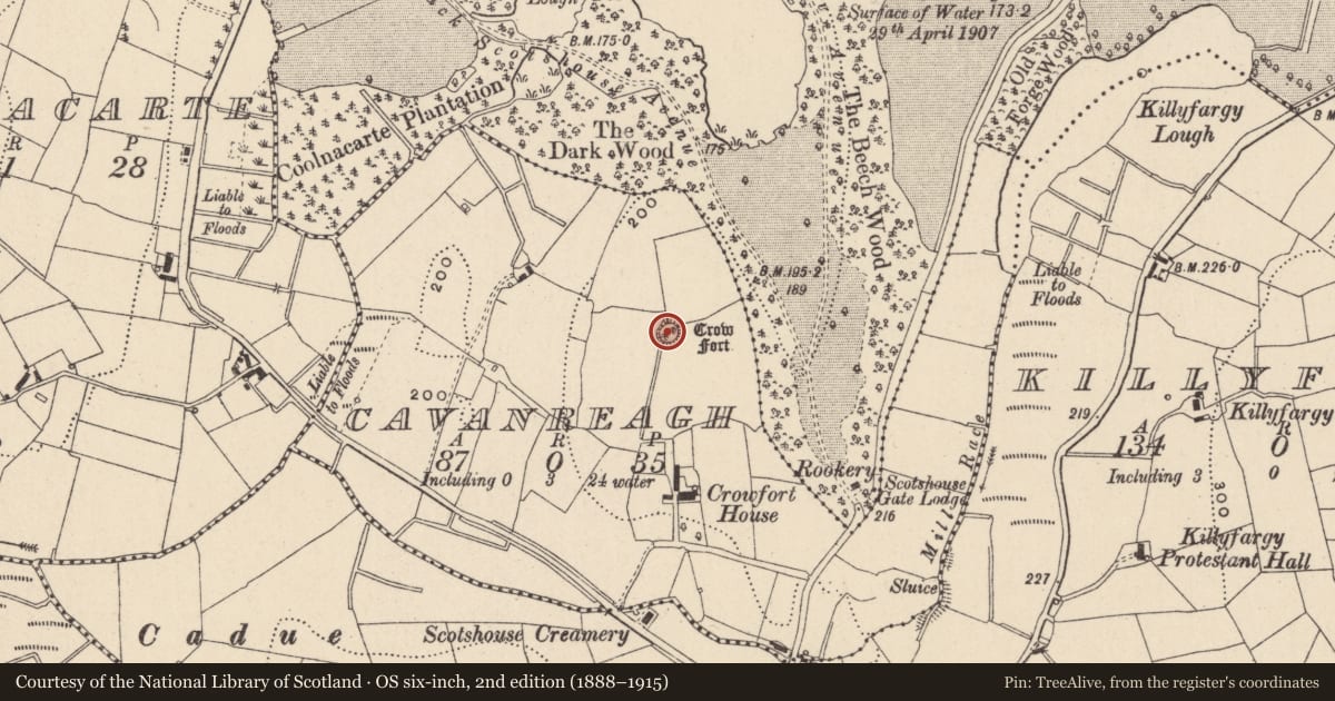 Ordnance Survey six-inch map, 2nd edition (1888–1915) covering the location of Ringfort - rath, Cavanreagh, County Monaghan, with a pin at the register's coordinates