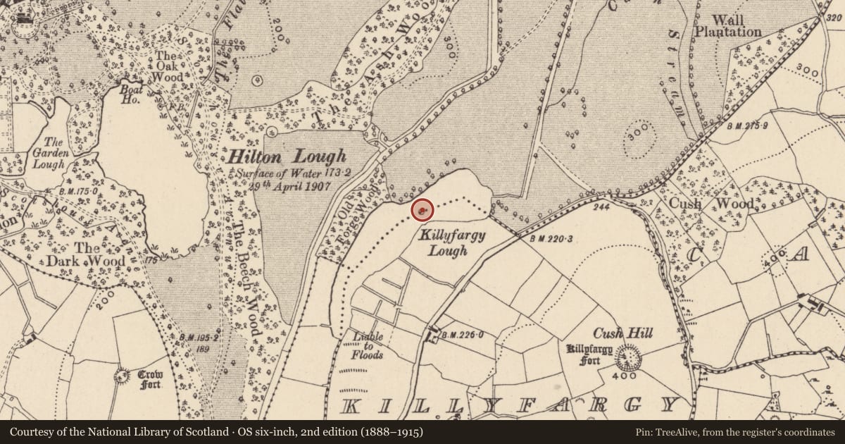 Ordnance Survey six-inch map, 2nd edition (1888–1915) covering the location of Crannog, Hilton Demesne, Killyfargy, County Monaghan, with a pin at the register's coordinates