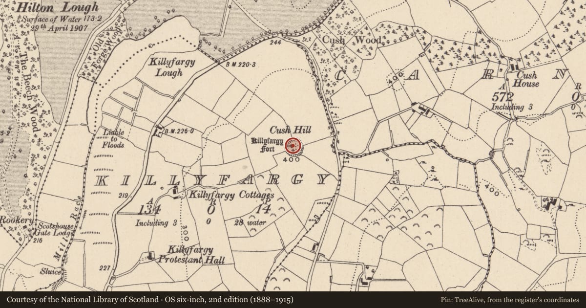 Ordnance Survey six-inch map, 2nd edition (1888–1915) covering the location of Ringfort - rath, Killyfargy, County Monaghan, with a pin at the register's coordinates