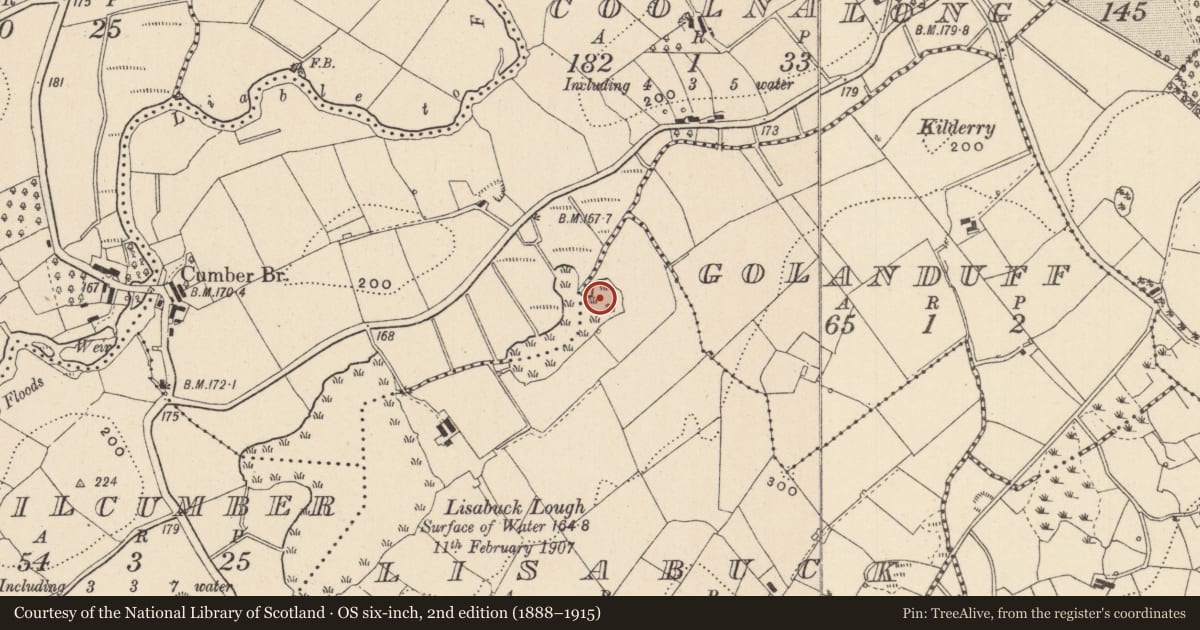 Ordnance Survey six-inch map, 2nd edition (1888–1915) covering the location of Crannog, Coolnalong, Lisabuck, County Monaghan, with a pin at the register's coordinates