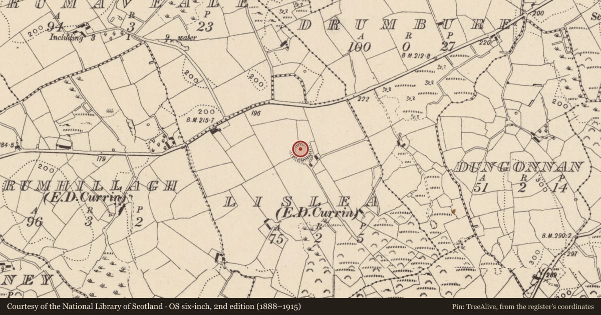 Ordnance Survey six-inch map, 2nd edition (1888–1915) covering the location of Ringfort - rath, Lislea (Dartree By., Currin Par.), County Monaghan, with a pin at the register's coordinates