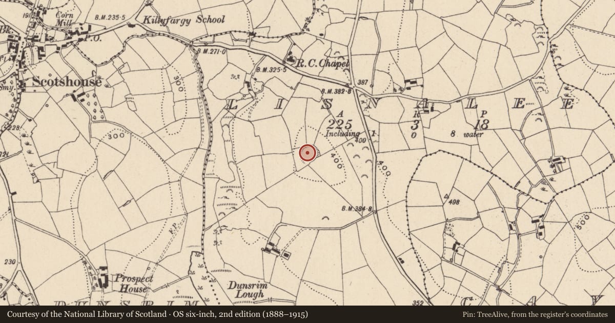Ordnance Survey six-inch map, 2nd edition (1888–1915) covering the location of Ringfort - rath, Lisnalee, County Monaghan, with a pin at the register's coordinates