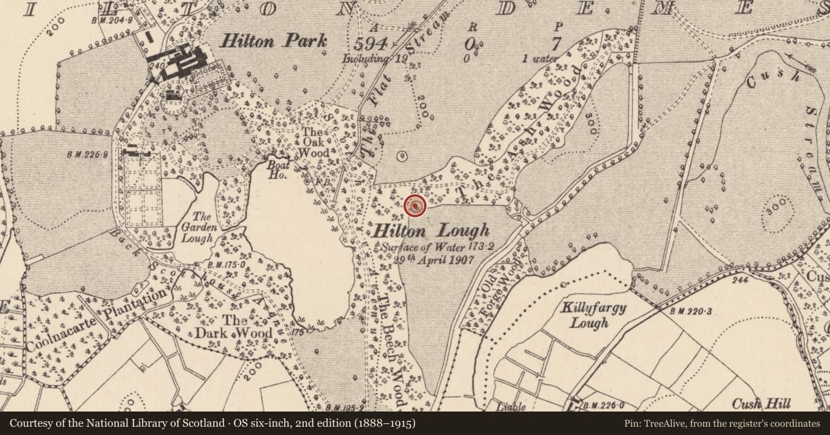 Ordnance Survey six-inch map, 2nd edition (1888–1915) covering the location of Ringfort - rath, Hilton Demesne, County Monaghan, with a pin at the register's coordinates