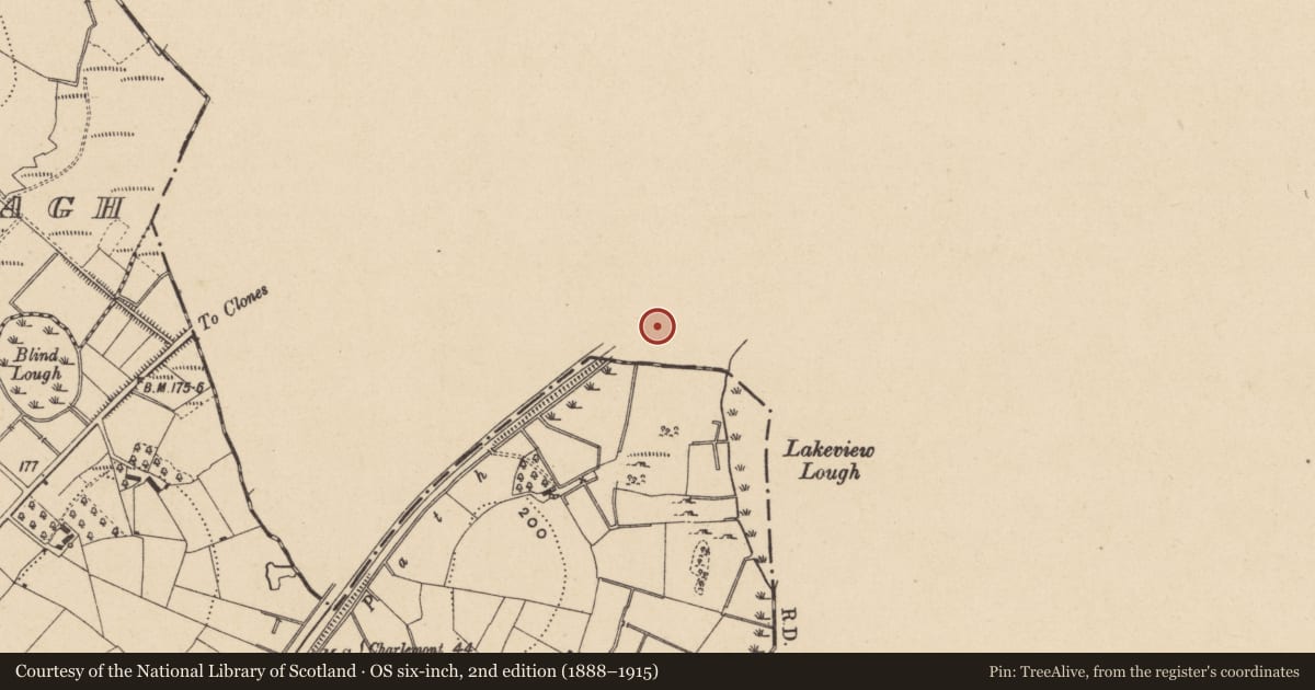 Ordnance Survey six-inch map, 2nd edition (1888–1915) covering the location of Ringfort - rath, Clonoony, County Monaghan, with a pin at the register's coordinates