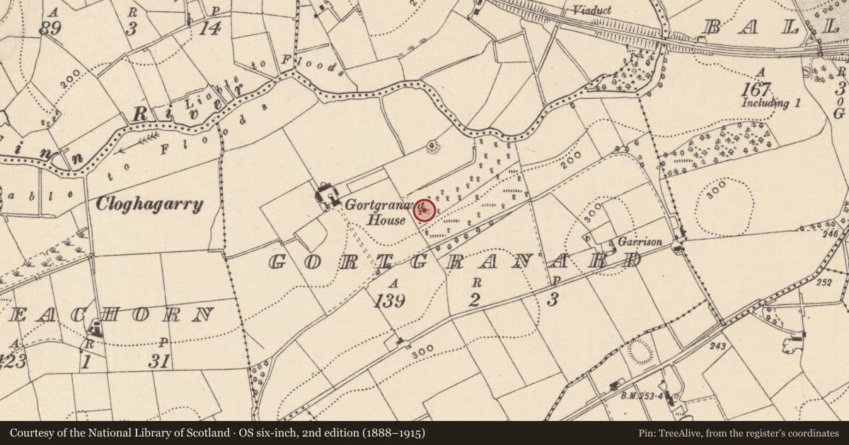 Ordnance Survey six-inch map, 2nd edition (1888–1915) covering the location of Children's burial ground, Gortgranard, County Monaghan, with a pin at the register's coordinates