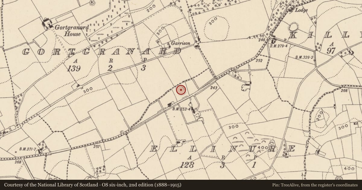 Ordnance Survey six-inch map, 2nd edition (1888–1915) covering the location of Enclosure, Ellinure, County Monaghan, with a pin at the register's coordinates