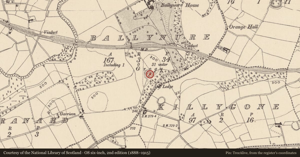 Ordnance Survey six-inch map, 2nd edition (1888–1915) covering the location of Ringfort - rath, Ballynure, County Monaghan, with a pin at the register's coordinates