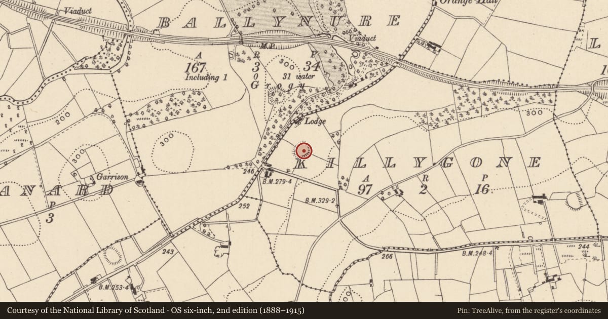 Ordnance Survey six-inch map, 2nd edition (1888–1915) covering the location of Ringfort - rath, Killygone, County Monaghan, with a pin at the register's coordinates