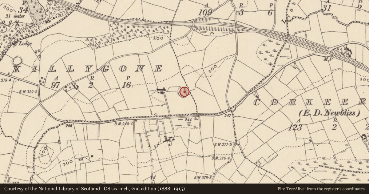 Ordnance Survey six-inch map, 2nd edition (1888–1915) covering the location of Ringfort - rath, Killygone, County Monaghan, with a pin at the register's coordinates
