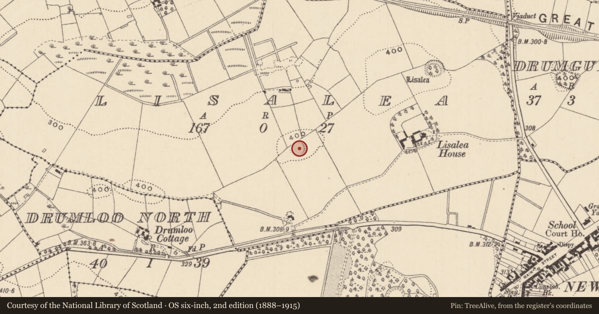 Ordnance Survey six-inch map, 2nd edition (1888–1915) covering the location of Ringfort - rath, Lisalea, County Monaghan, with a pin at the register's coordinates