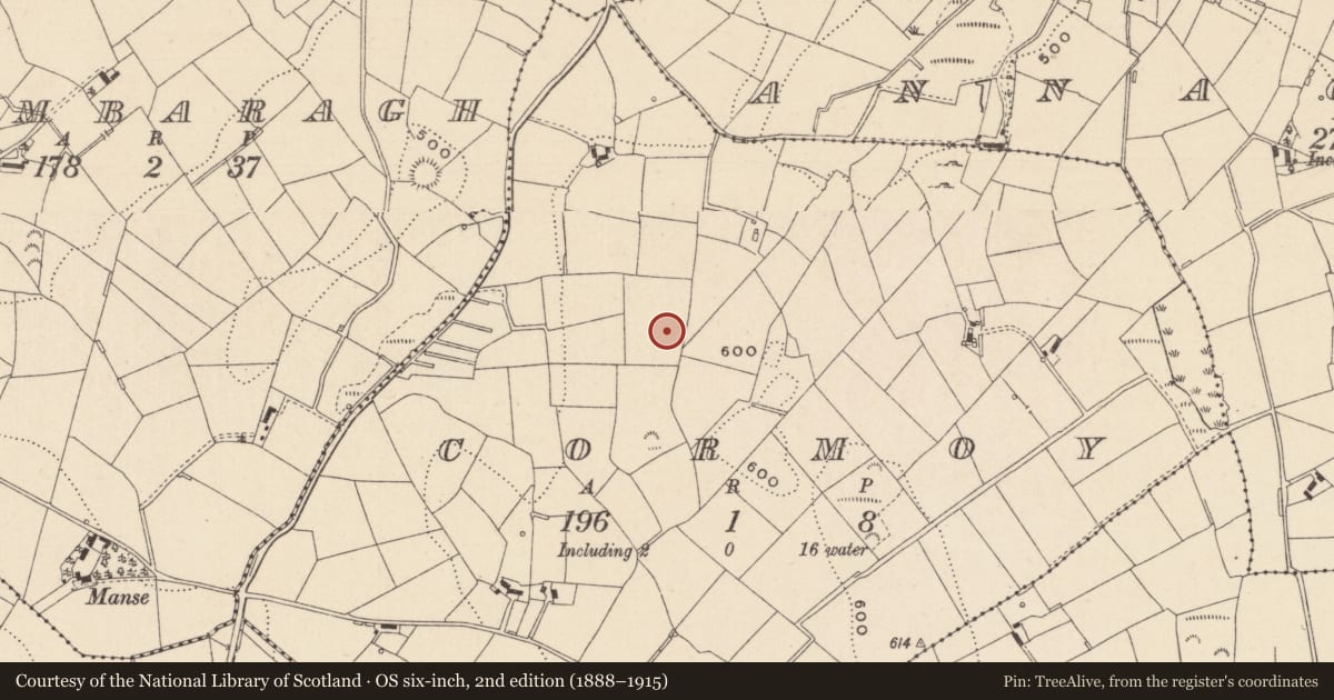 Ordnance Survey six-inch map, 2nd edition (1888–1915) covering the location of Ringfort - rath, Cormoy, County Monaghan, with a pin at the register's coordinates