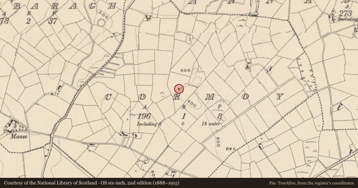 Ordnance Survey six-inch map, 2nd edition (1888–1915) covering the location of Cairn - unclassified, Cormoy, County Monaghan, with a pin at the register's coordinates