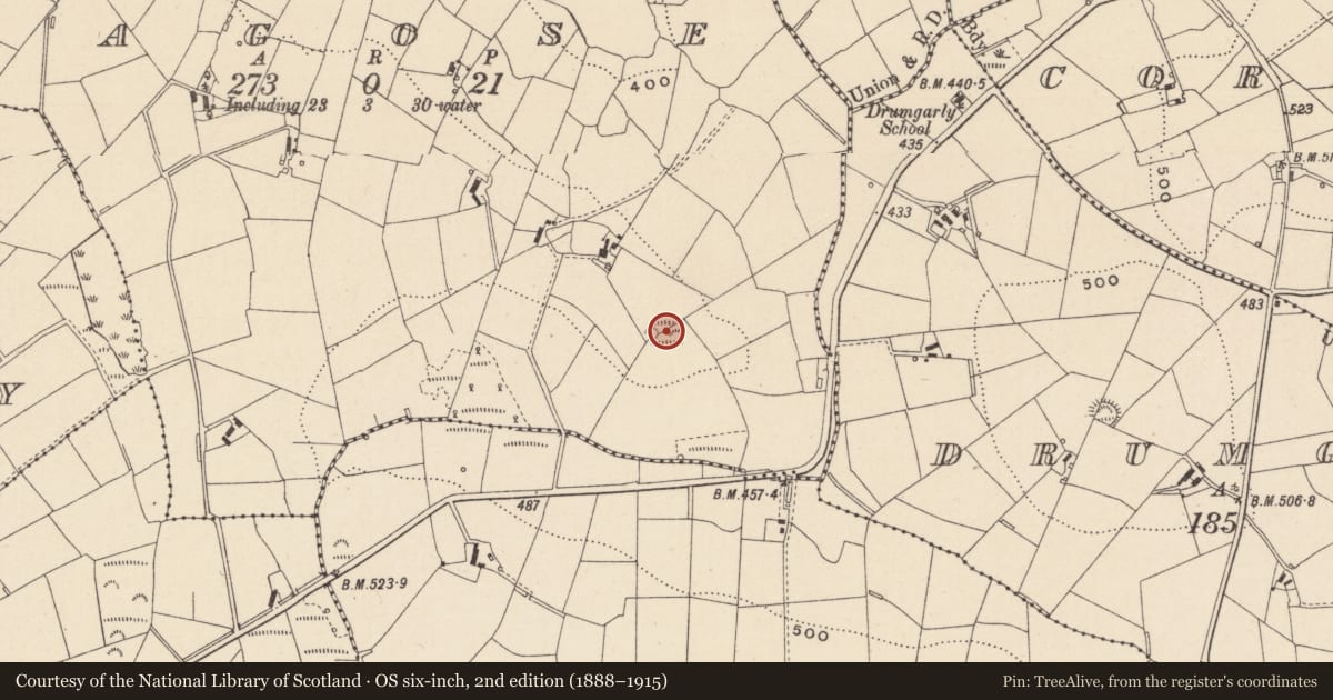 Ordnance Survey six-inch map, 2nd edition (1888–1915) covering the location of Ringfort - rath, Annagose, County Monaghan, with a pin at the register's coordinates