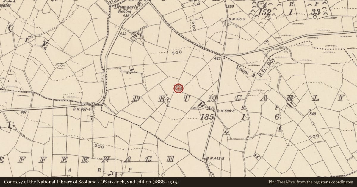 Ordnance Survey six-inch map, 2nd edition (1888–1915) covering the location of Ringfort - rath, Drumgarly, County Monaghan, with a pin at the register's coordinates