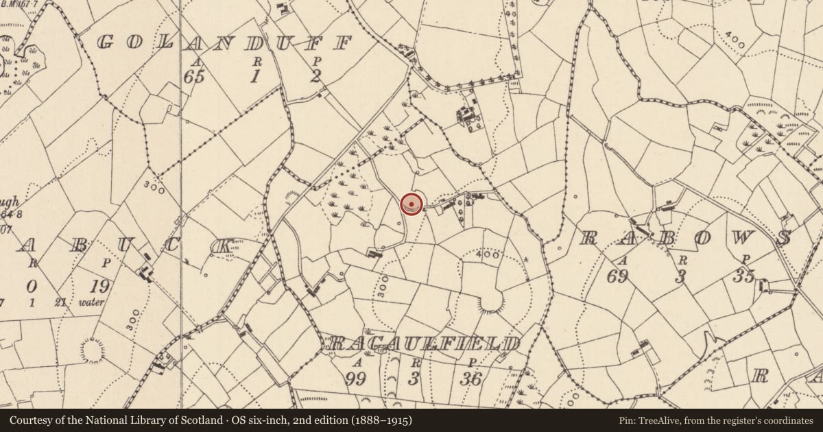 Ordnance Survey six-inch map, 2nd edition (1888–1915) covering the location of Ringfort - rath, Racaulfield, County Monaghan, with a pin at the register's coordinates
