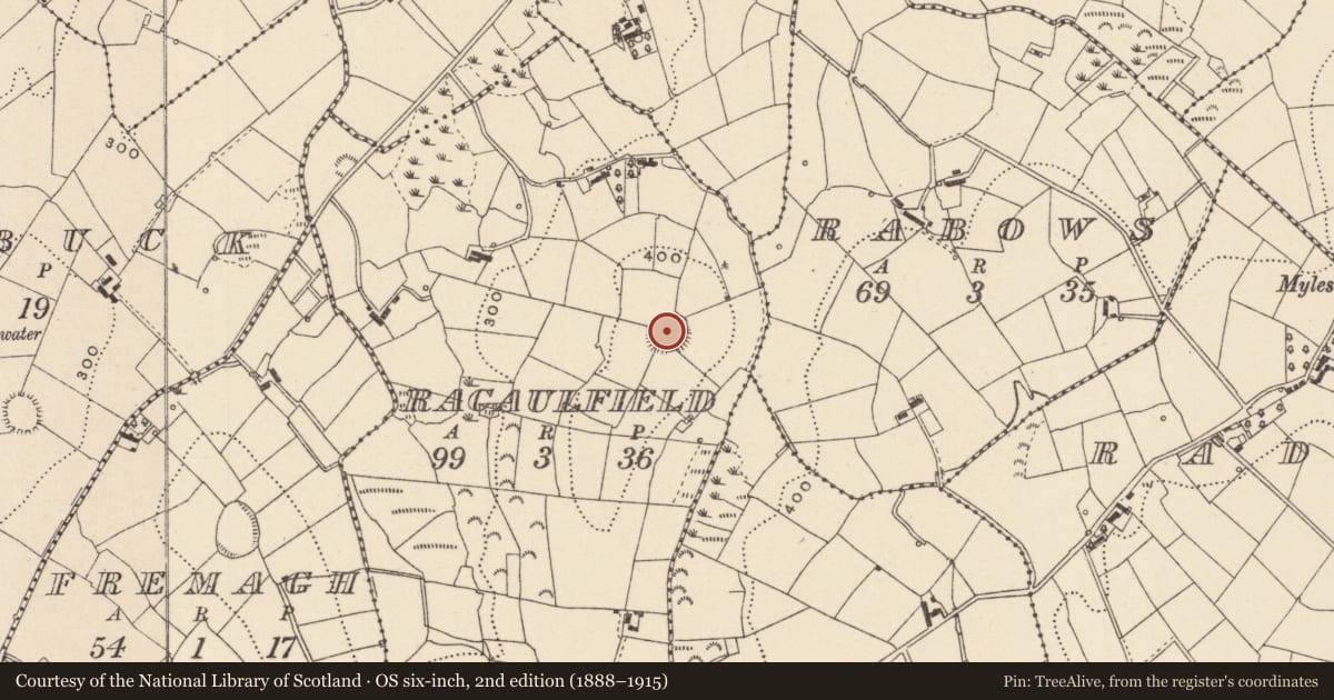 Ordnance Survey six-inch map, 2nd edition (1888–1915) covering the location of Ringfort - rath, Racaulfield, County Monaghan, with a pin at the register's coordinates