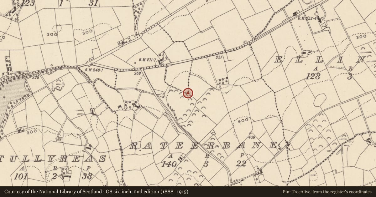 Ordnance Survey six-inch map, 2nd edition (1888–1915) covering the location of Enclosure, Rateerbane, County Monaghan, with a pin at the register's coordinates