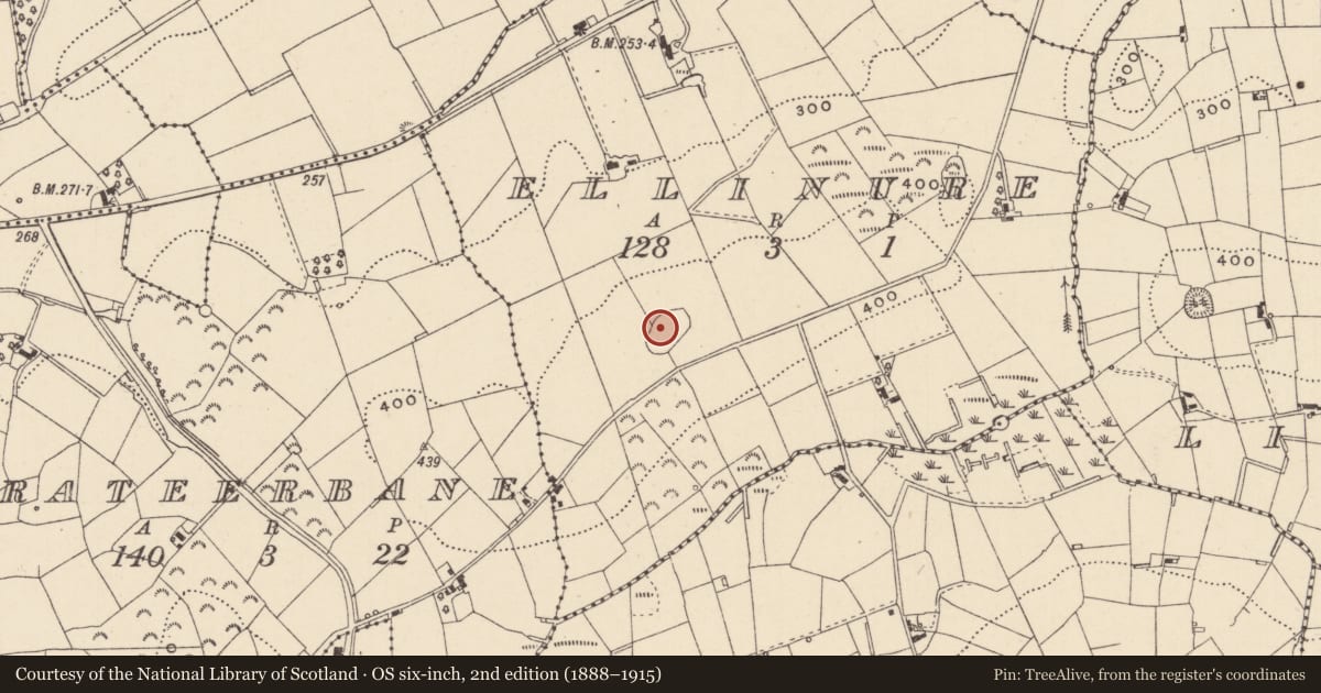 Ordnance Survey six-inch map, 2nd edition (1888–1915) covering the location of Enclosure, Ellinure, County Monaghan, with a pin at the register's coordinates