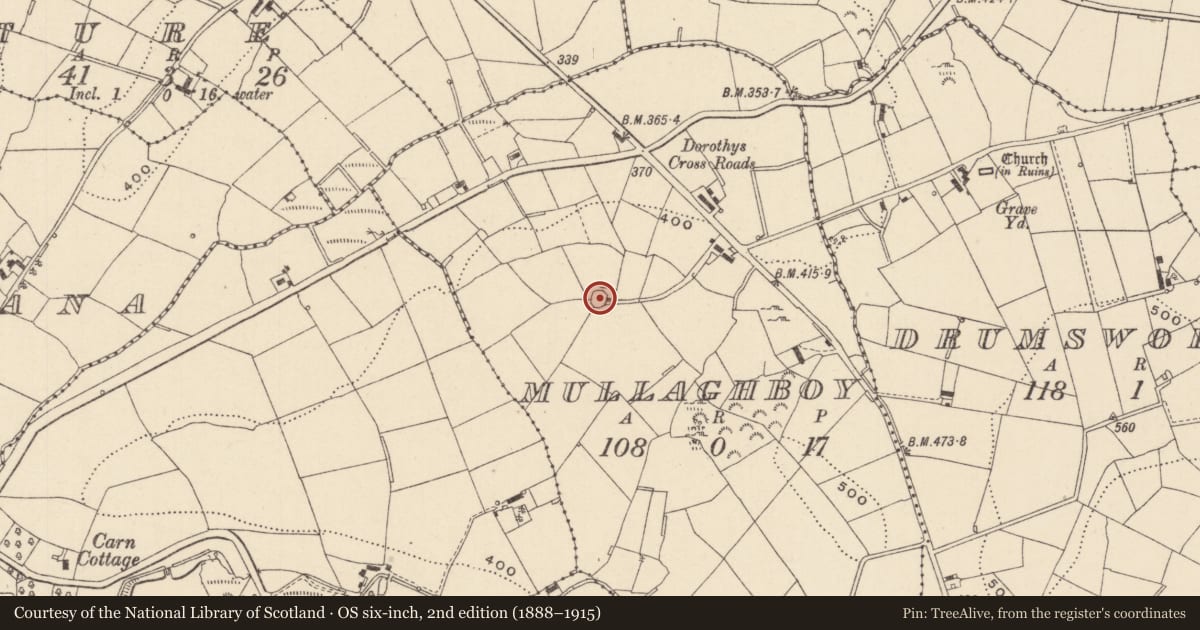 Ordnance Survey six-inch map, 2nd edition (1888–1915) covering the location of Ringfort - rath, Mullagh Boy, County Monaghan, with a pin at the register's coordinates