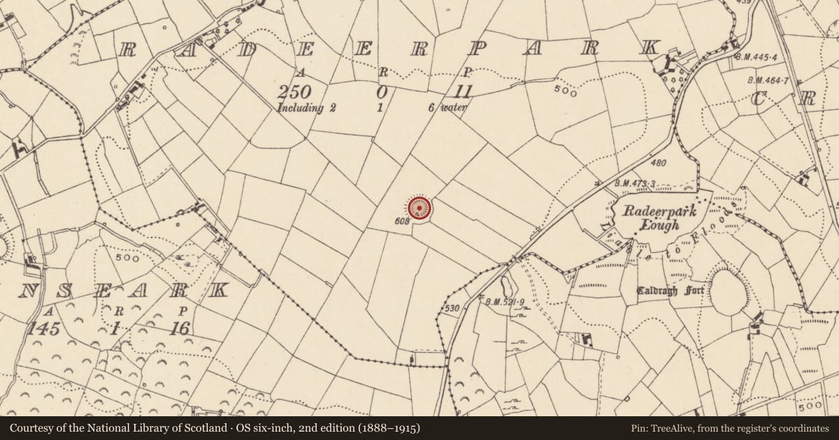 Ordnance Survey six-inch map, 2nd edition (1888–1915) covering the location of Ringfort - rath, Radeerpark, County Monaghan, with a pin at the register's coordinates