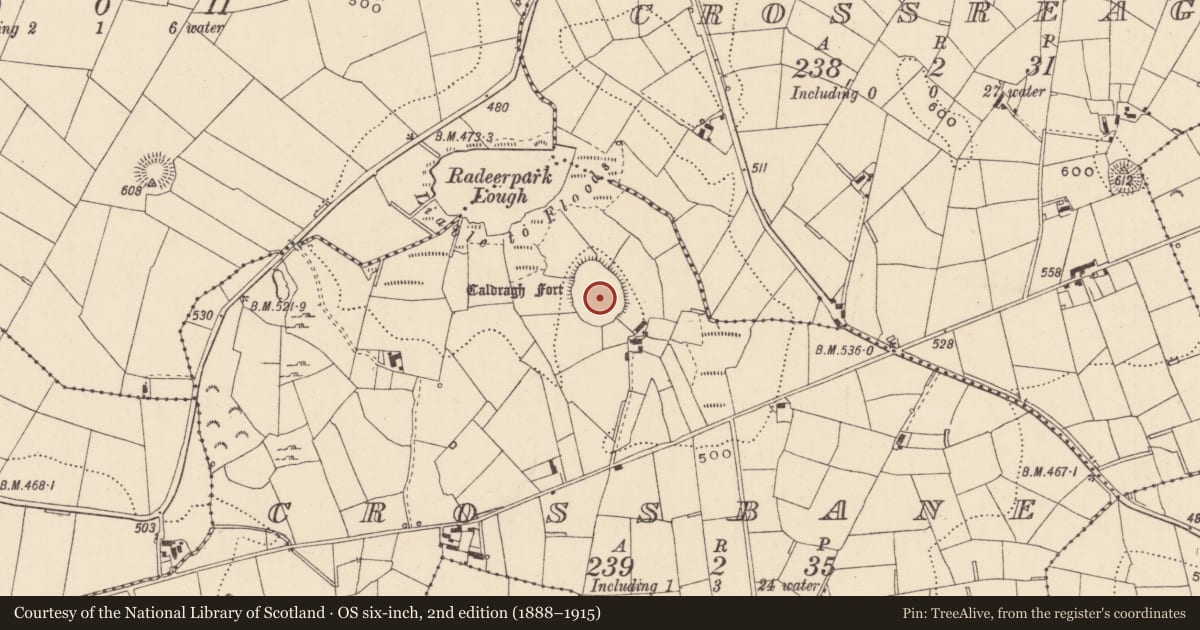 Ordnance Survey six-inch map, 2nd edition (1888–1915) covering the location of Enclosure - large enclosure, Crossbane, County Monaghan, with a pin at the register's coordinates