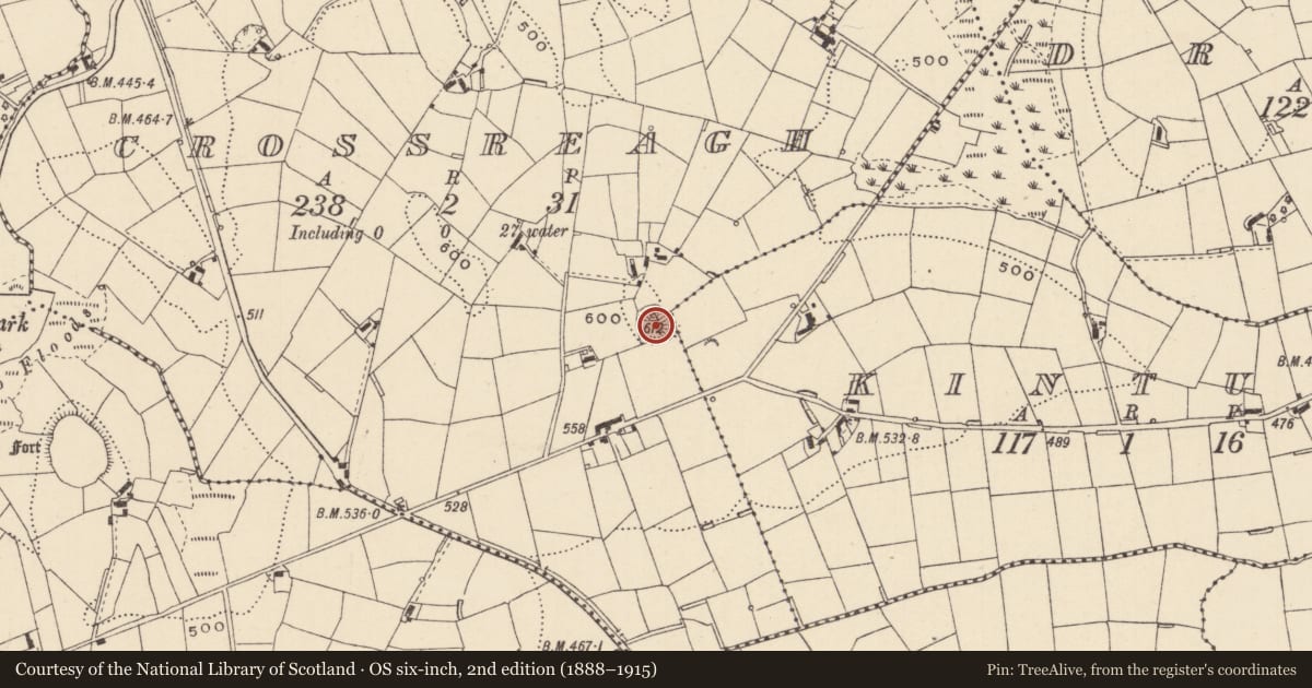 Ordnance Survey six-inch map, 2nd edition (1888–1915) covering the location of Ringfort - rath, Crossreagh, County Monaghan, with a pin at the register's coordinates