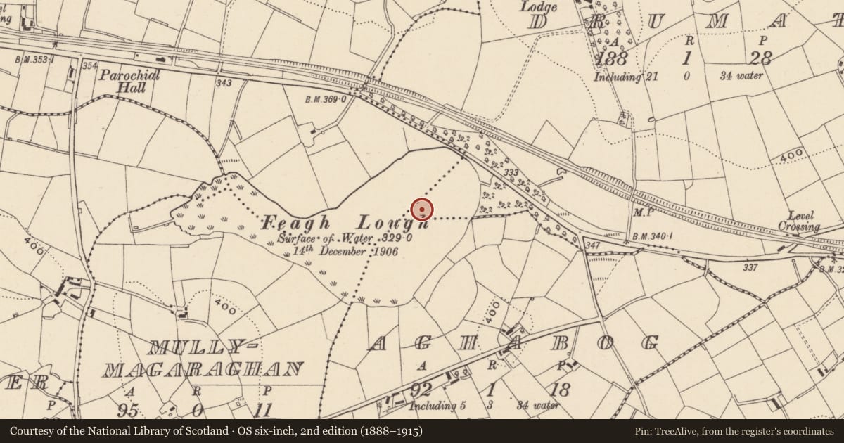 Ordnance Survey six-inch map, 2nd edition (1888–1915) covering the location of Crannog, Drumate, County Monaghan, with a pin at the register's coordinates