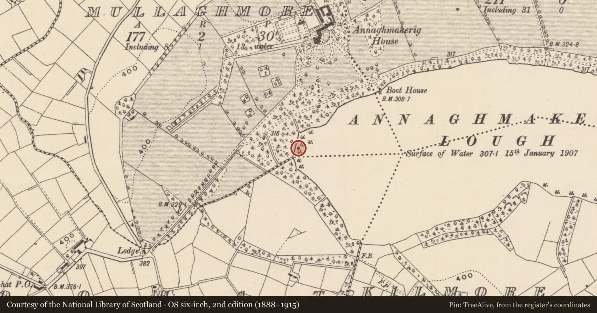 Ordnance Survey six-inch map, 2nd edition (1888–1915) covering the location of Crannog, Mullaghmore, County Monaghan, with a pin at the register's coordinates