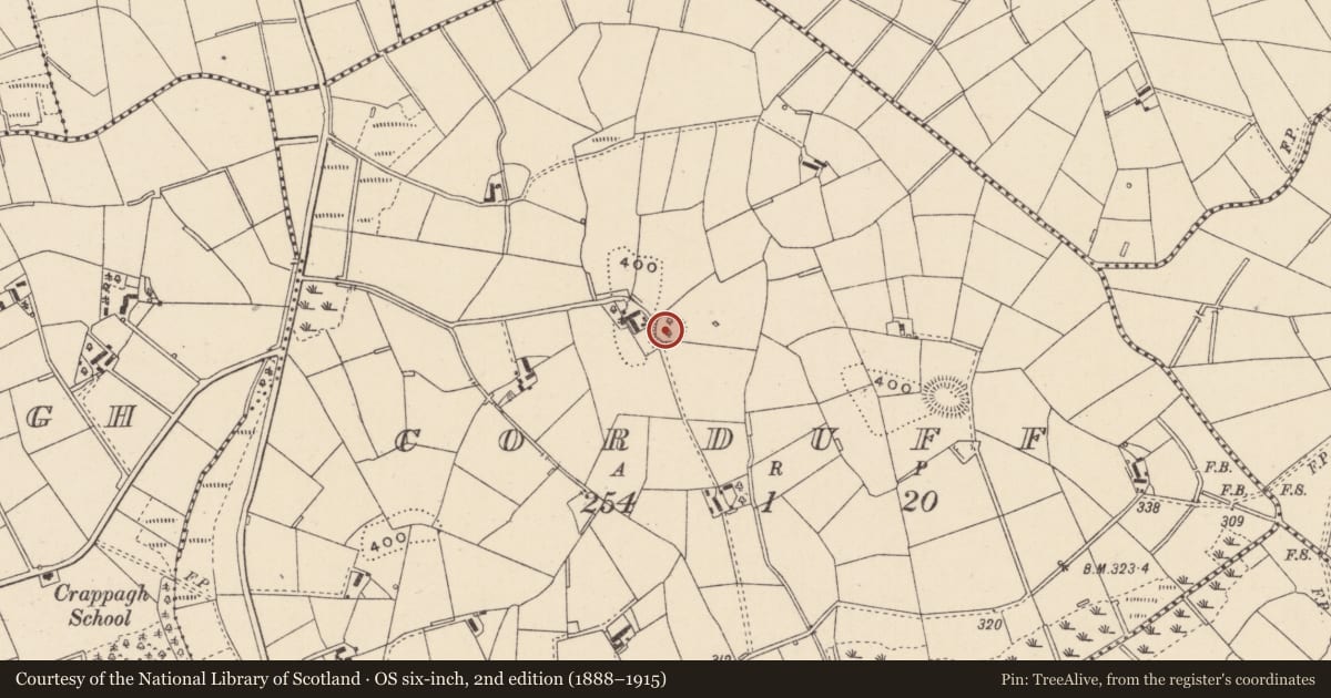 Ordnance Survey six-inch map, 2nd edition (1888–1915) covering the location of Ringfort - rath, Corduff, County Monaghan, with a pin at the register's coordinates