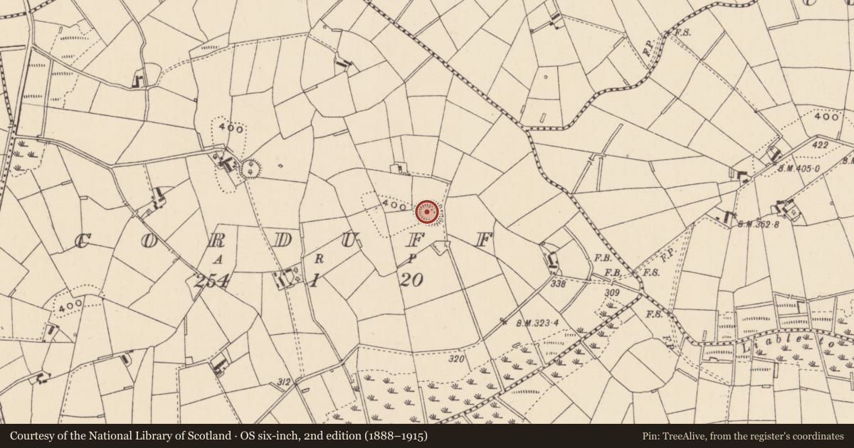 Ordnance Survey six-inch map, 2nd edition (1888–1915) covering the location of Ringfort - rath, Corduff, County Monaghan, with a pin at the register's coordinates