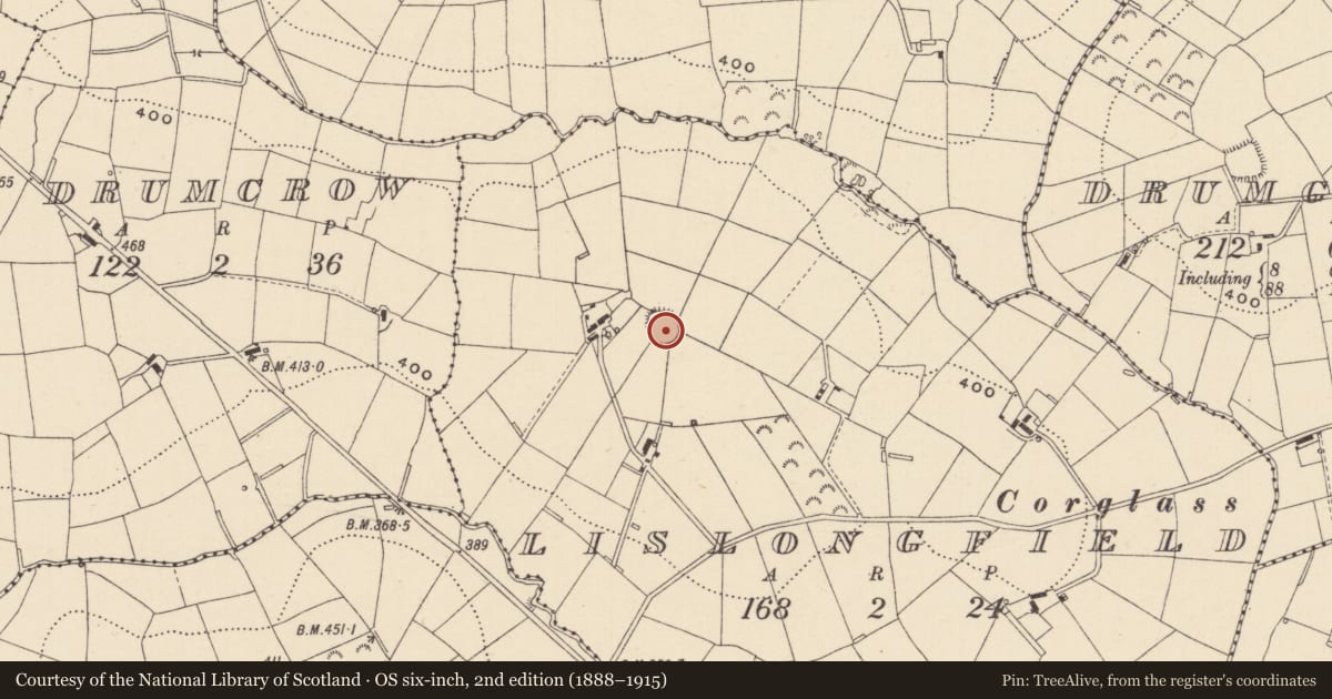 Ordnance Survey six-inch map, 2nd edition (1888–1915) covering the location of Ringfort - rath, Lislongfield, County Monaghan, with a pin at the register's coordinates