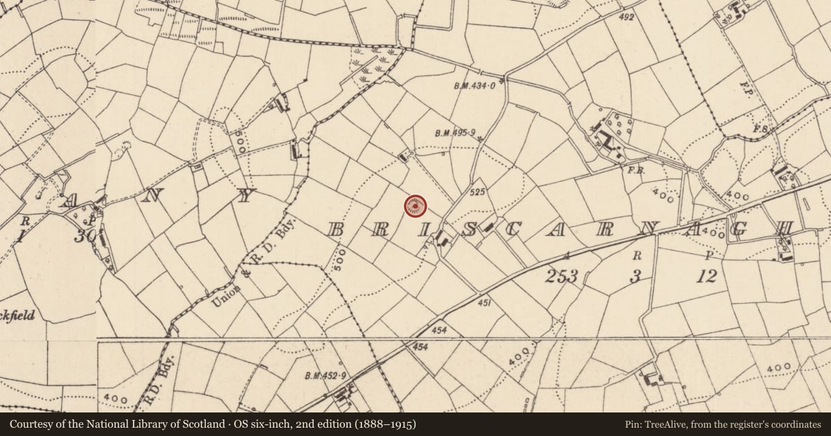 Ordnance Survey six-inch map, 2nd edition (1888–1915) covering the location of Ringfort - rath, Briscarnagh, County Monaghan, with a pin at the register's coordinates