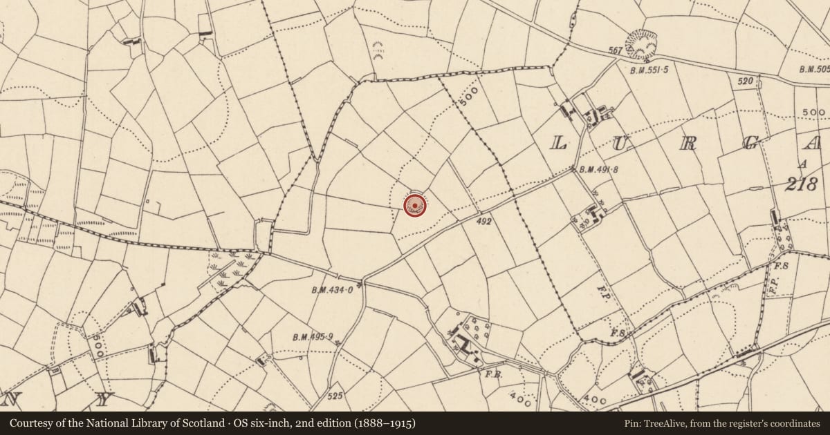 Ordnance Survey six-inch map, 2nd edition (1888–1915) covering the location of Ringfort - rath, Briscarnagh, County Monaghan, with a pin at the register's coordinates