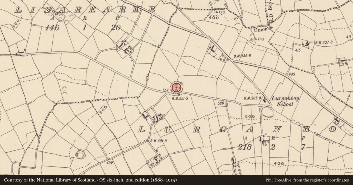 Ordnance Survey six-inch map, 2nd edition (1888–1915) covering the location of Ringfort - rath, Lurganboy, County Monaghan, with a pin at the register's coordinates