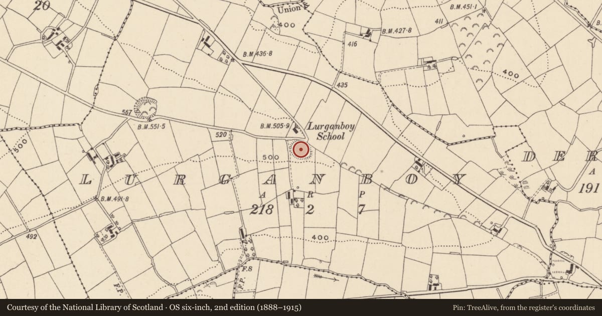 Ordnance Survey six-inch map, 2nd edition (1888–1915) covering the location of Ringfort - rath, Lurganboy, County Monaghan, with a pin at the register's coordinates