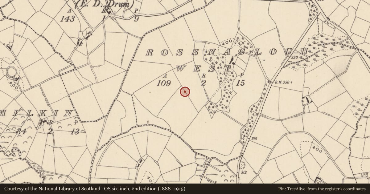 Ordnance Survey six-inch map, 2nd edition (1888–1915) covering the location of Ringfort - rath, Rossnaglogh West, County Monaghan, with a pin at the register's coordinates