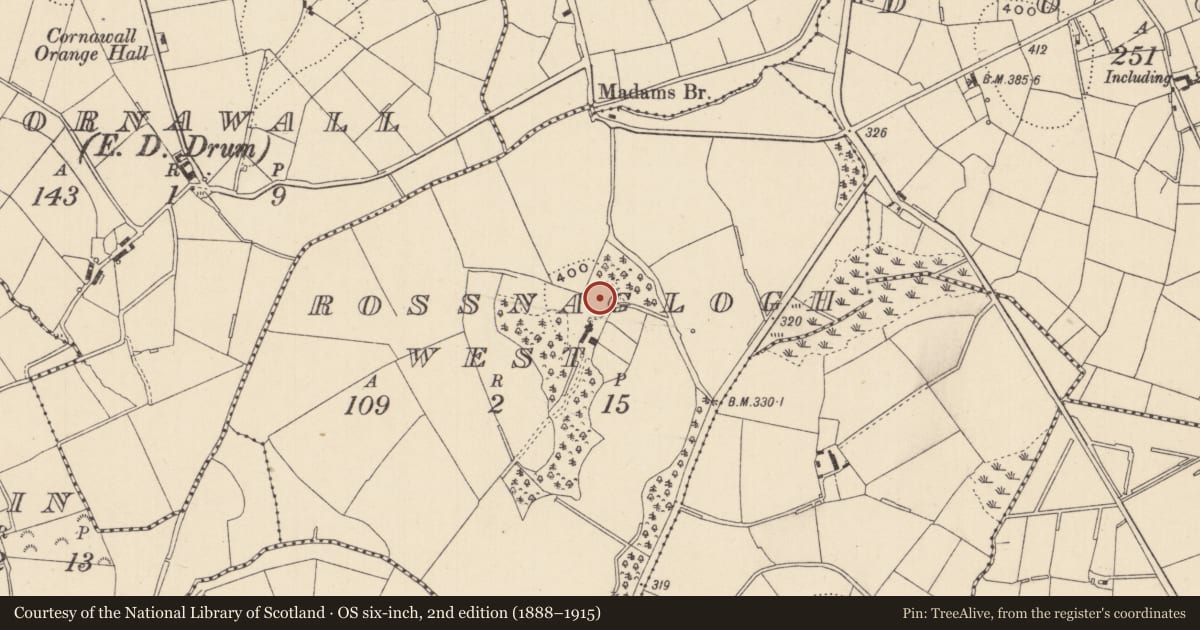 Ordnance Survey six-inch map, 2nd edition (1888–1915) covering the location of Earthwork, Rossnaglogh West, County Monaghan, with a pin at the register's coordinates