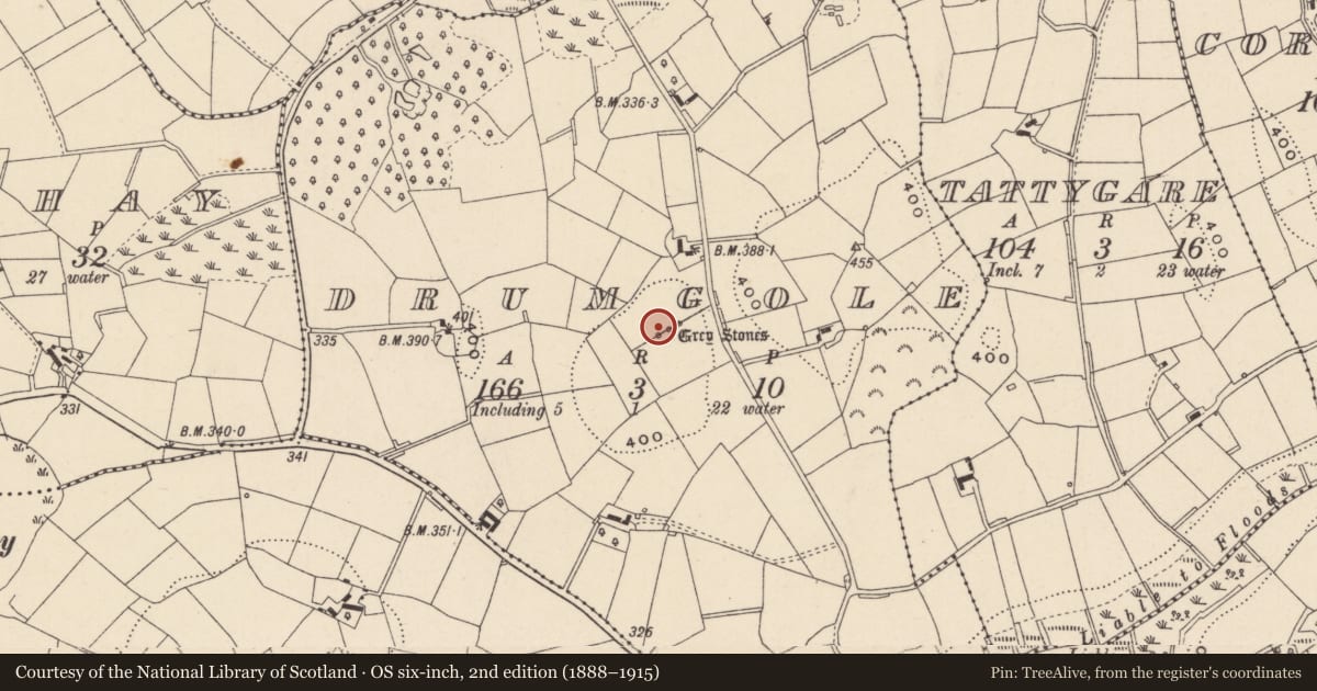 Ordnance Survey six-inch map, 2nd edition (1888–1915) covering the location of Stone row, Drumgole, County Monaghan, with a pin at the register's coordinates