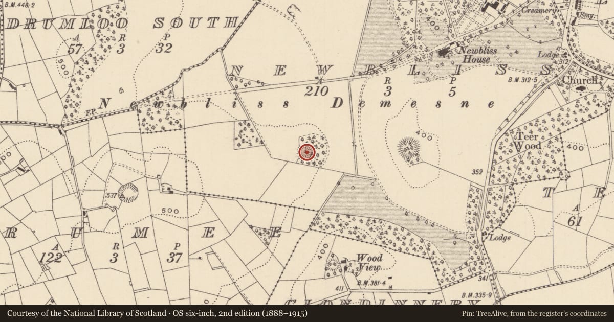 Ordnance Survey six-inch map, 2nd edition (1888–1915) covering the location of Ringfort - rath, Newbliss, County Monaghan, with a pin at the register's coordinates