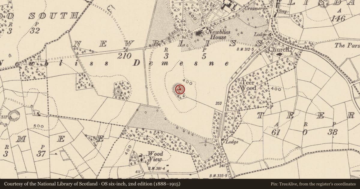 Ordnance Survey six-inch map, 2nd edition (1888–1915) covering the location of Ringfort - rath, Newbliss, County Monaghan, with a pin at the register's coordinates