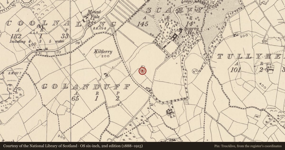 Ordnance Survey six-inch map, 2nd edition (1888–1915) covering the location of Designed landscape - tree-ring, Scarvy, County Monaghan, with a pin at the register's coordinates
