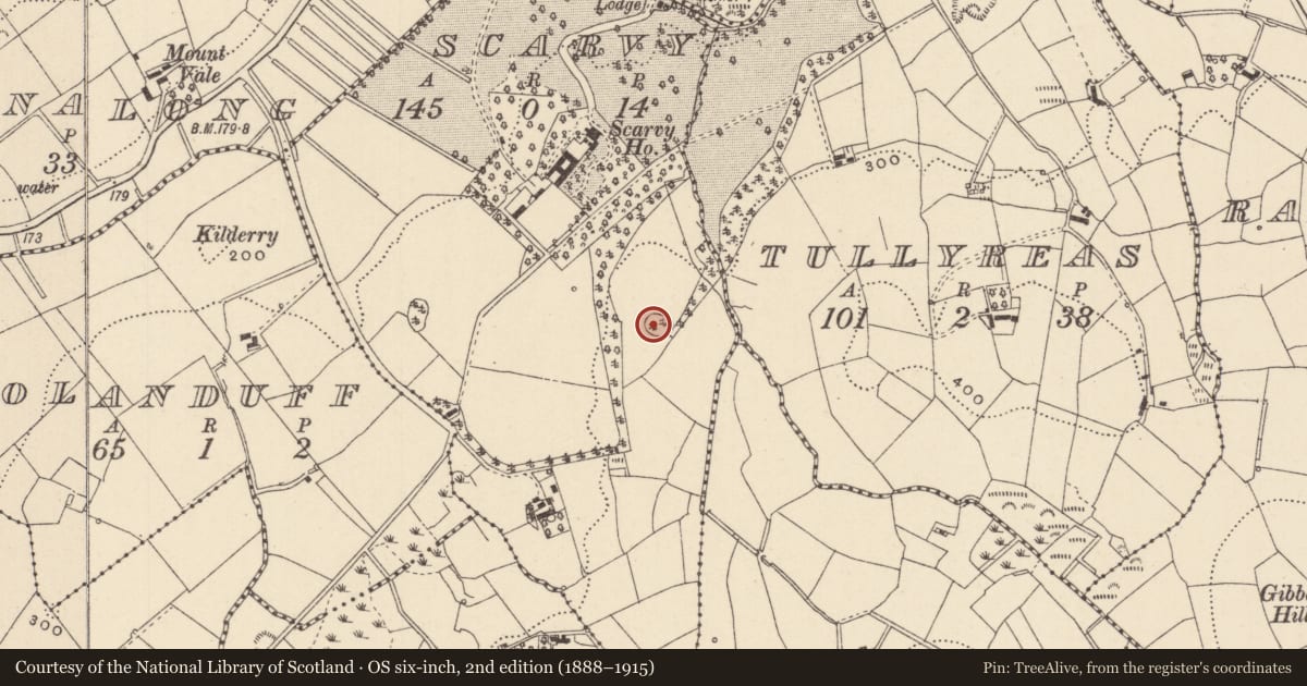 Ordnance Survey six-inch map, 2nd edition (1888–1915) covering the location of Designed landscape - tree-ring, Scarvy, County Monaghan, with a pin at the register's coordinates
