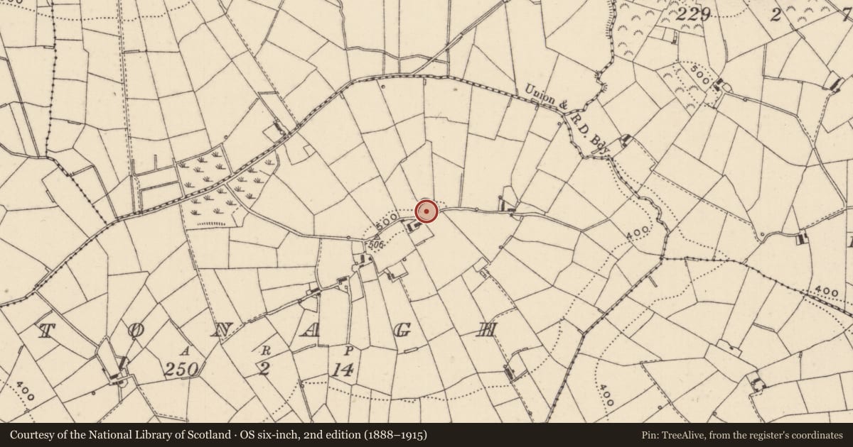 Ordnance Survey six-inch map, 2nd edition (1888–1915) covering the location of Ringfort - rath, Tonagh, County Monaghan, with a pin at the register's coordinates