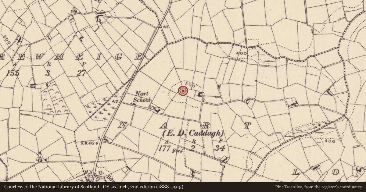 Ordnance Survey six-inch map, 2nd edition (1888–1915) covering the location of Ringfort - rath, Nart (Monaghan By, County Monaghan, with a pin at the register's coordinates