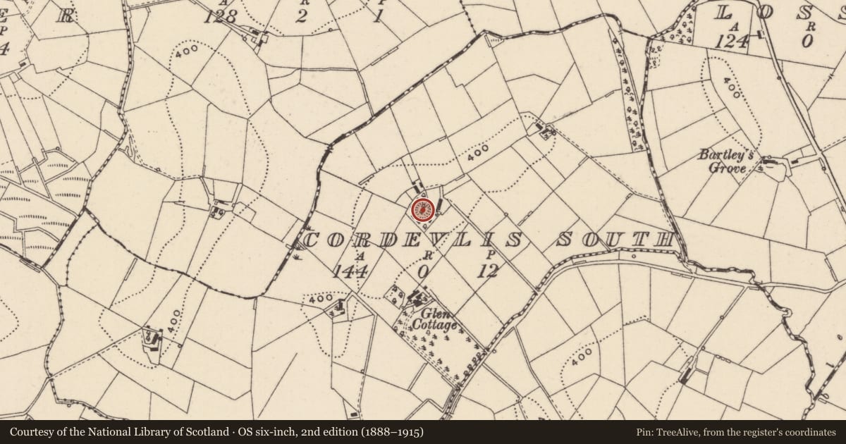 Ordnance Survey six-inch map, 2nd edition (1888–1915) covering the location of Ringfort - rath, Cordevlis South, County Monaghan, with a pin at the register's coordinates